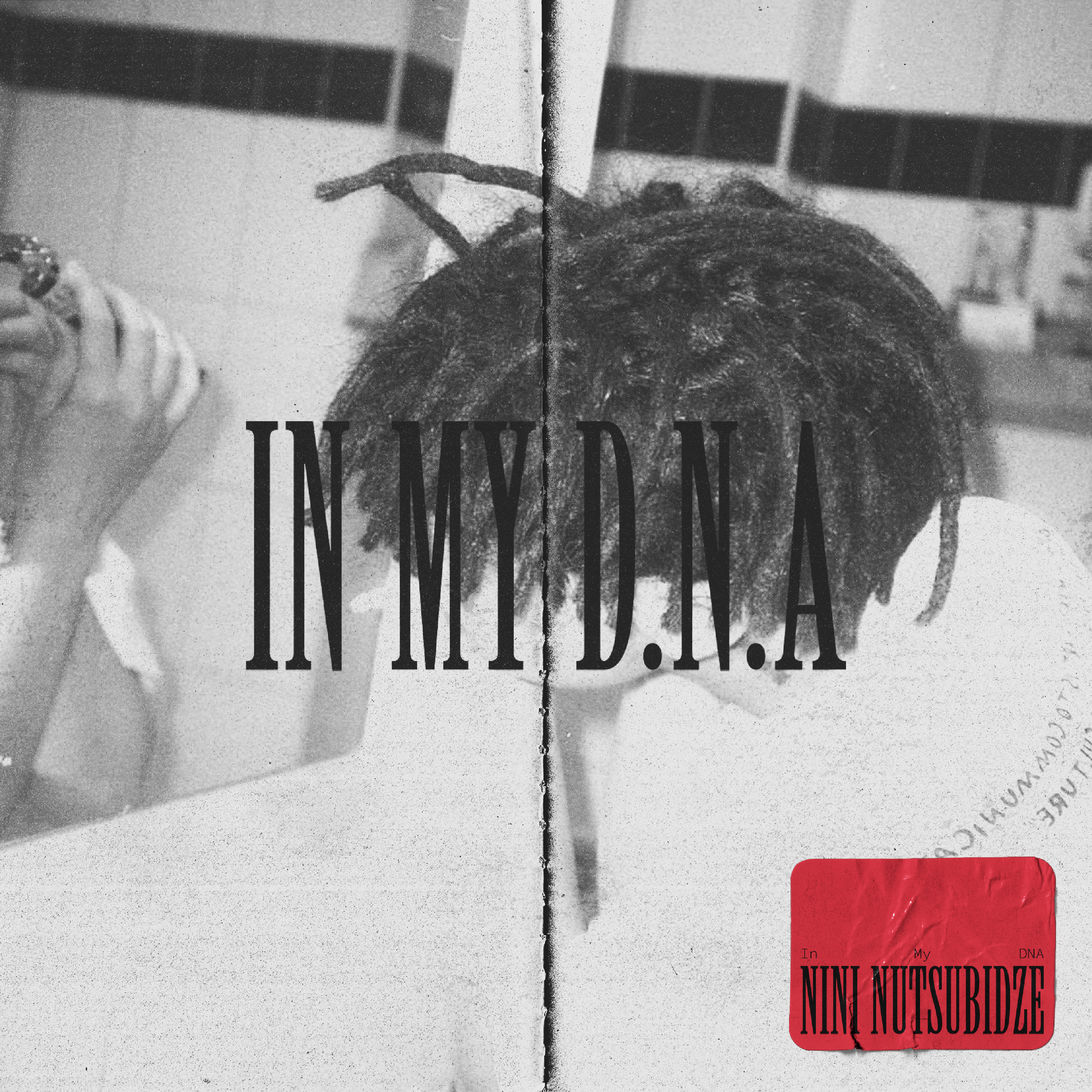 IN MY D.N.A. album cover